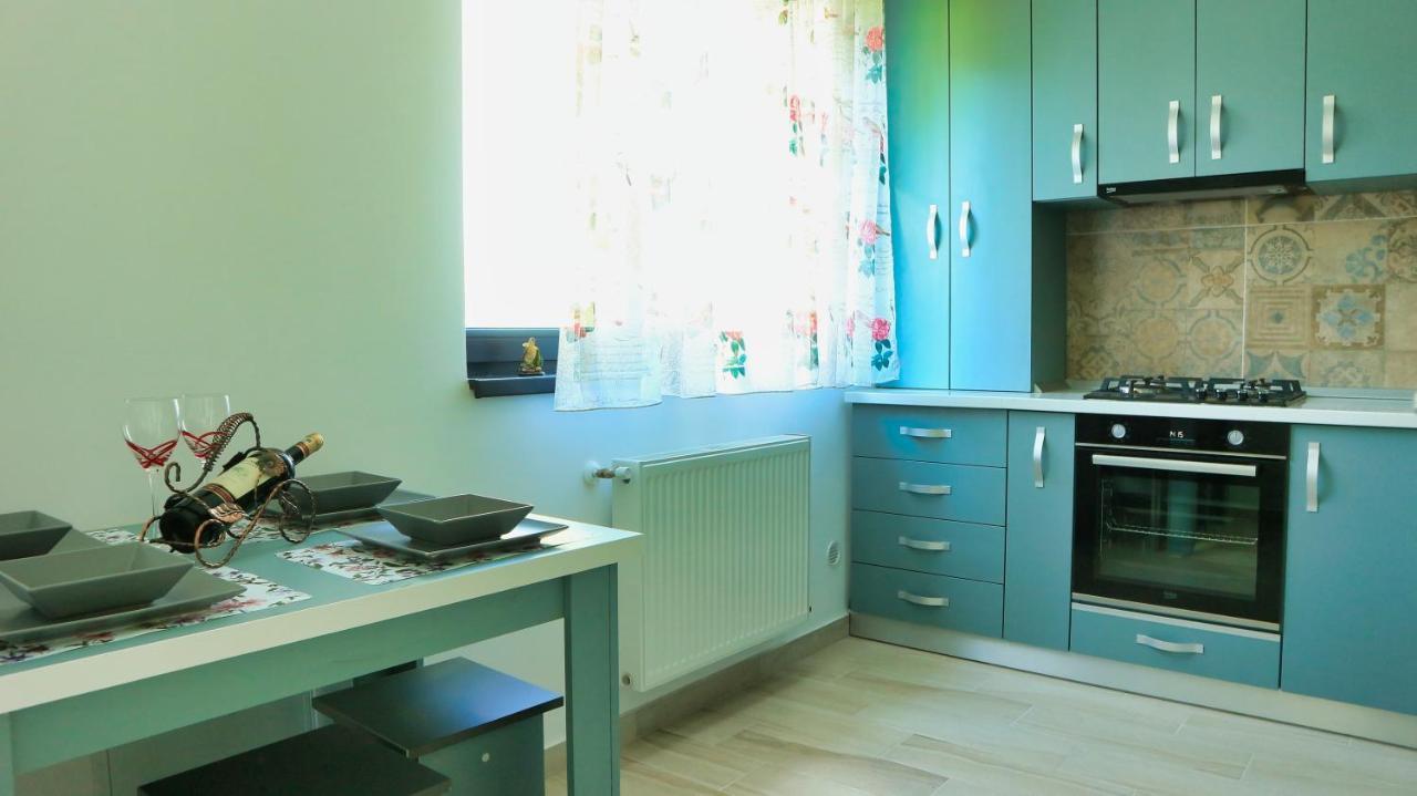 Cozy Flowers Studio - Fast Wi-Fi & Washer-Dryer Брашов Экстерьер фото